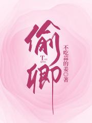 偷卿宝鉴国语