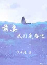 前妻我们复婚吧顾阿书免费阅读