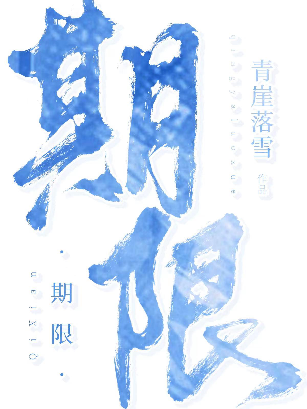 期限的释义