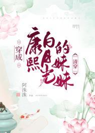 穿成康熙白月光的妹妹清穿阿洙洙