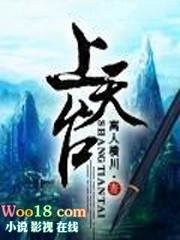 三真一假上天台
