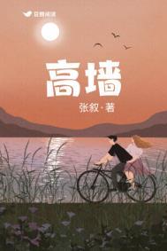 高墙电网细铁丝顺口溜
