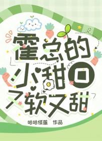 霍总的小娇免费阅读