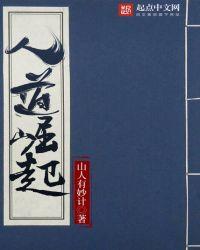 人道崛起 作者山人有妙计