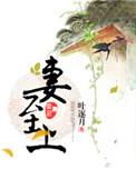 宠妻至上全文免费阅读