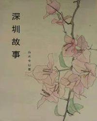 深圳故事u6答案