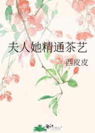 夫人她精通茶艺木桃逢新讲的什么