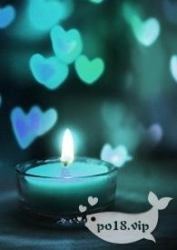 捡来的男人是总裁亿满全文阅读无弹窗