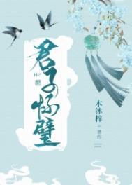 君子怀璧番外txt