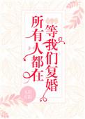 所有人都在等我们复婚免费阅读