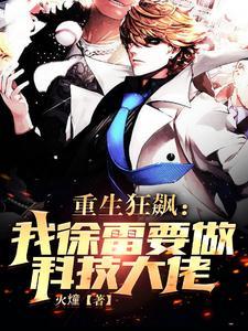 重生狂飙我徐雷要做科技大佬 火燑