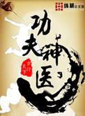 功夫神医陆峰TXT全文