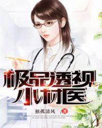 极品透视小村医独孤清风TXT