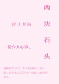 两块石头po笔趣阁