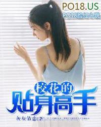 校花的贴身高手电视剧