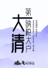 大清一年的税收有多少
