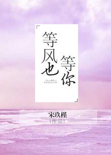 等风也等你大结局