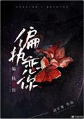 偏执恋你林锦瑟简意时