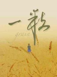 一粒种子告诉我们什么道理