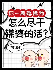 离婚律师我努力赚钱