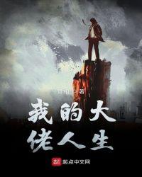 我的大佬人生txt奇书网
