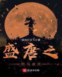 大唐之最强驸马下书网