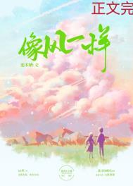 像风一样表达了什么情感