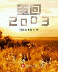 重回2003小鱼村无防盗
