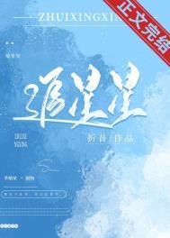 追星星的人陈楚生