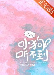 小狗听不到书包网