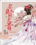 夫贵妻不闲全文免费