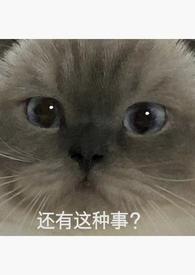 重生回强上男主的一天免费