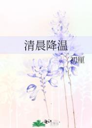 清晨降温初厘TXT百度
