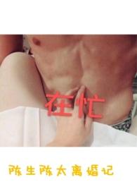 陈生陈太离婚记书包网
