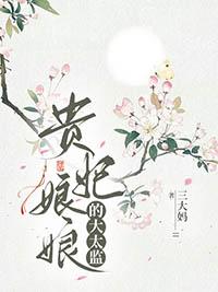 贵妃娘娘指的是谁