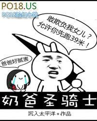 奶爸圣骑士校对版