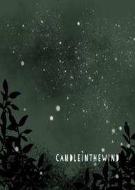 穿越格林童话成为小红帽的丈夫