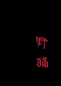 野猫wbg