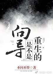 向导是不是重生的讲什么