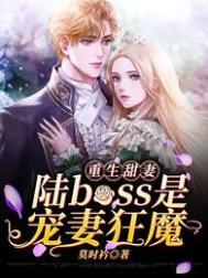 重生甜妻陆boss是宠妻狂魔合集