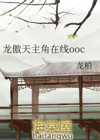 龙傲天主角名字