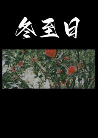 冬至日与夏至日相比正午影子