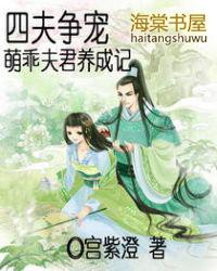 四夫宠妻免费阅读