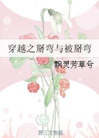 穿越电视剧掰弯
