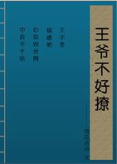王爷不好撩 糖炙