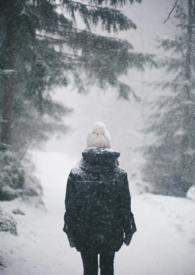 雪女是霍雨浩的武魂吗