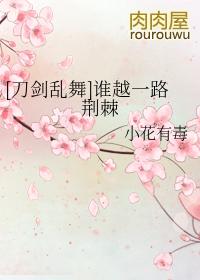 刀剑乱舞官服是哪个