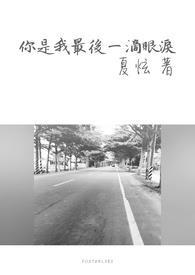 你是我的最后一夜