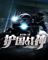 书名护国战神