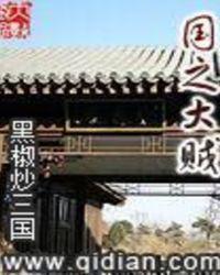 国之大贼续写免费观看
